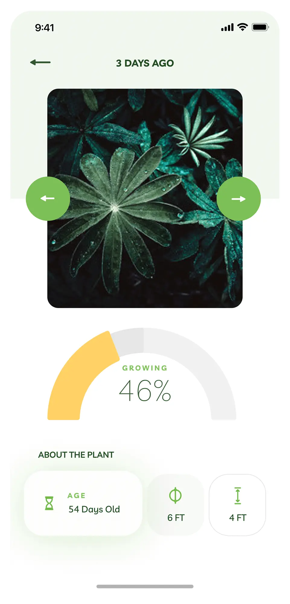 Nobis App